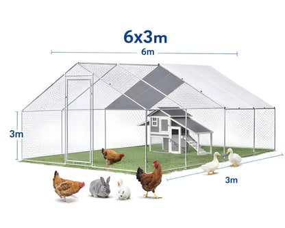 Outdoor Chicken Coop