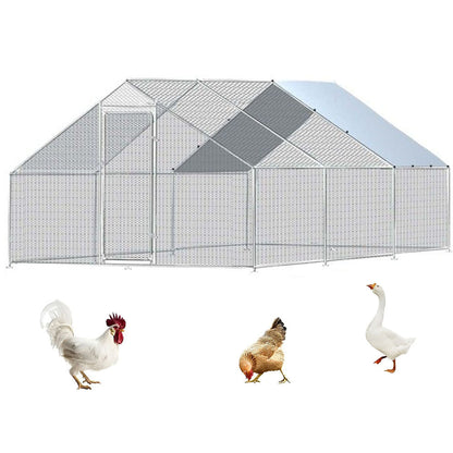 Outdoor Chicken Coop