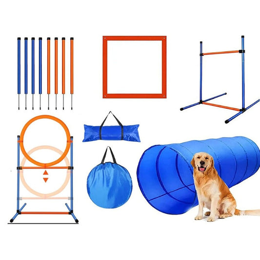 Dog Agility Equipment