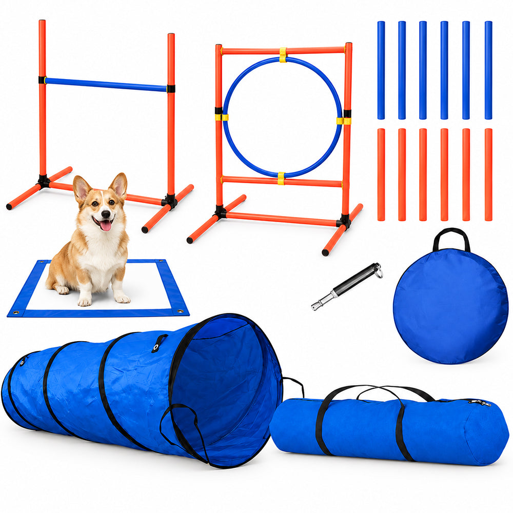 Dog Agility Equipment