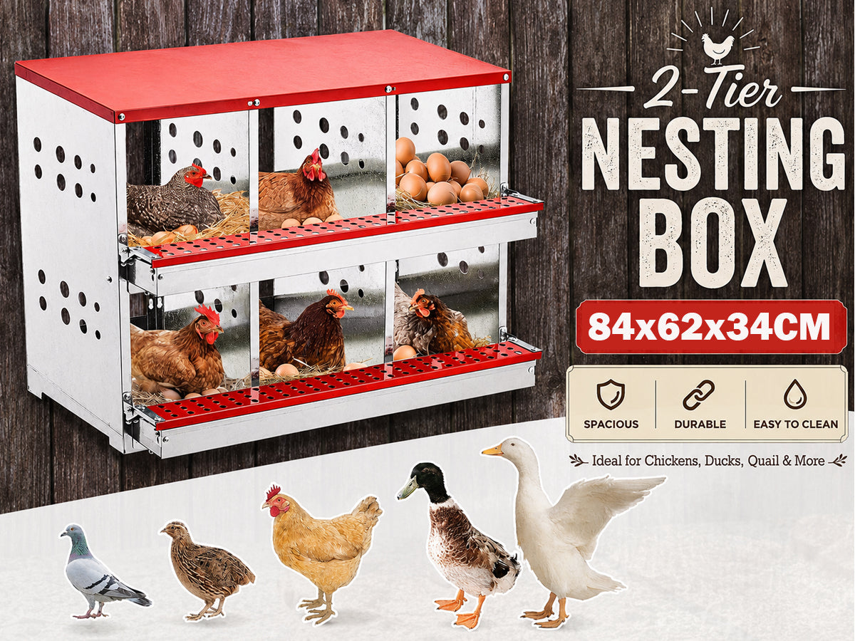 Nesting Box Chicken Hen Roll Away Laying Nest Boxes Chook Brooder 6 Compartment