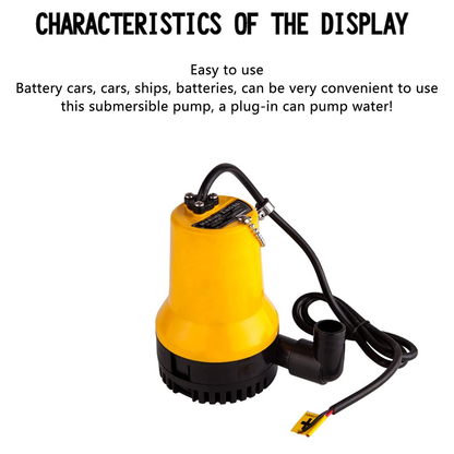 Submersible Water Pump 24V