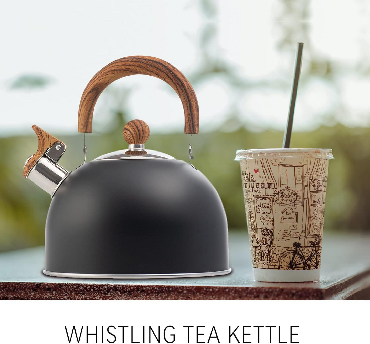 3L Smart Kettle Whistling Kettle(Stainless Steel)
