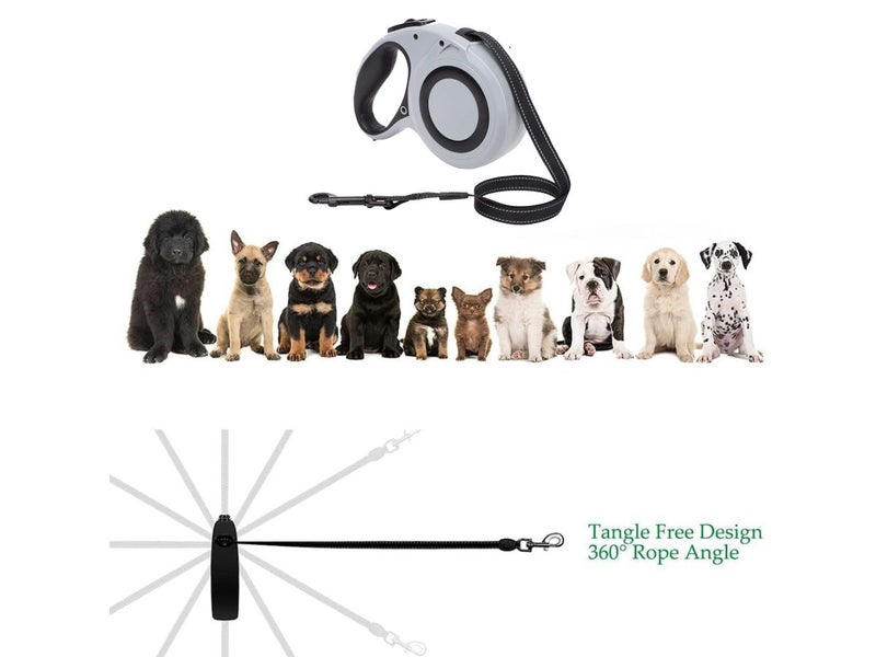 Retractable Dog Leash Tape 8M
