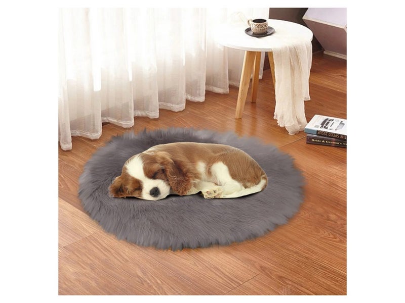 Pet Dog Heating Pad