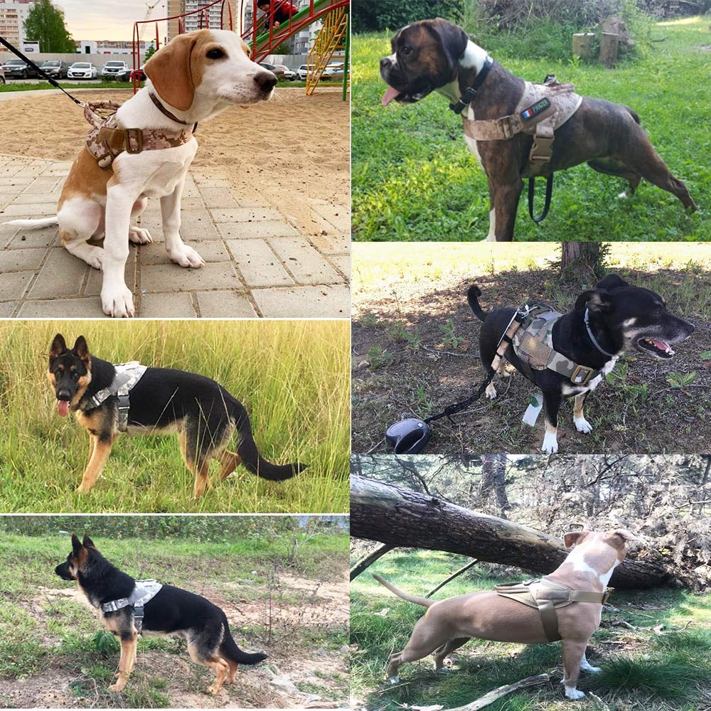 Dog Harness L Size