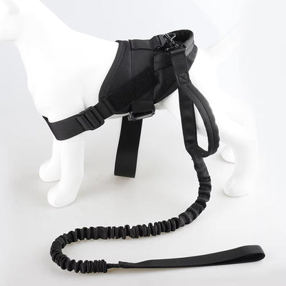 Dog Harness L Size