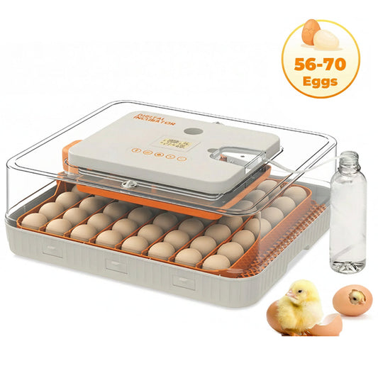 Automatic Egg Incubator  56-70 Eggs