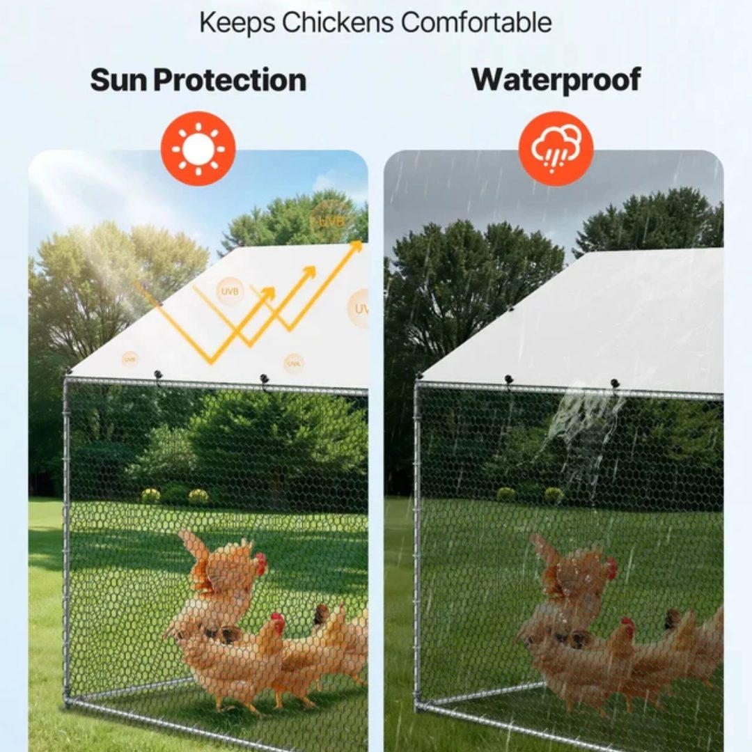 Outdoor Chicken Coop 8Mx3Mx2M