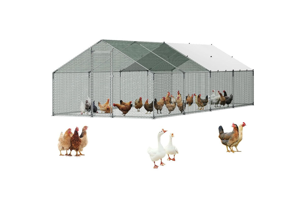 Outdoor Chicken Coop 8Mx3Mx2M