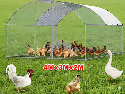 Outdoor Chicken Coop