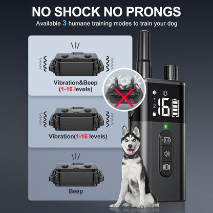 Anti Bark Dog Collar
