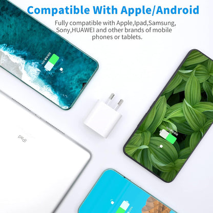 Dual USB Port Wall Charger Fast Charger for iPhone