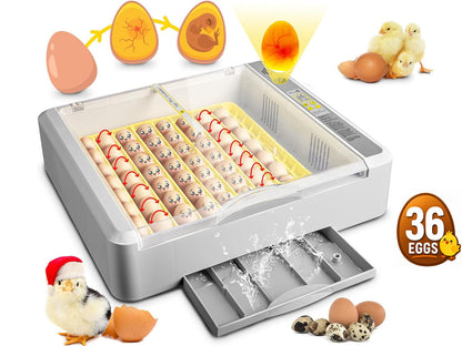 Egg Incubator Hatcher