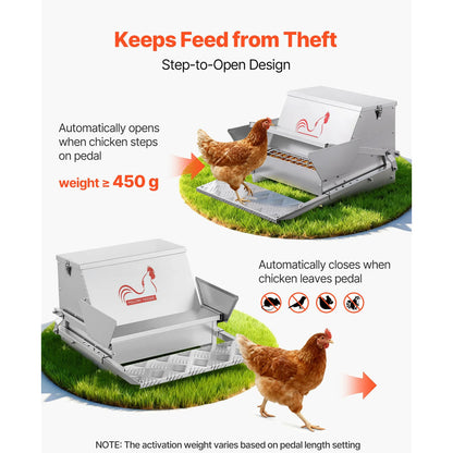 Automatic Chicken Feeder