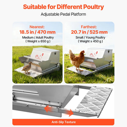 Automatic Chicken Feeder