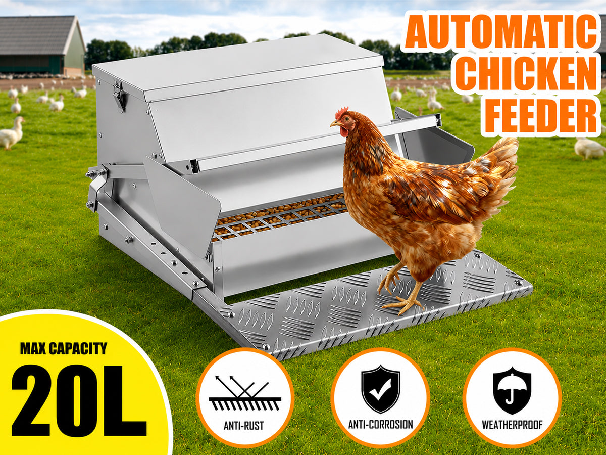 Automatic Chicken Feeder