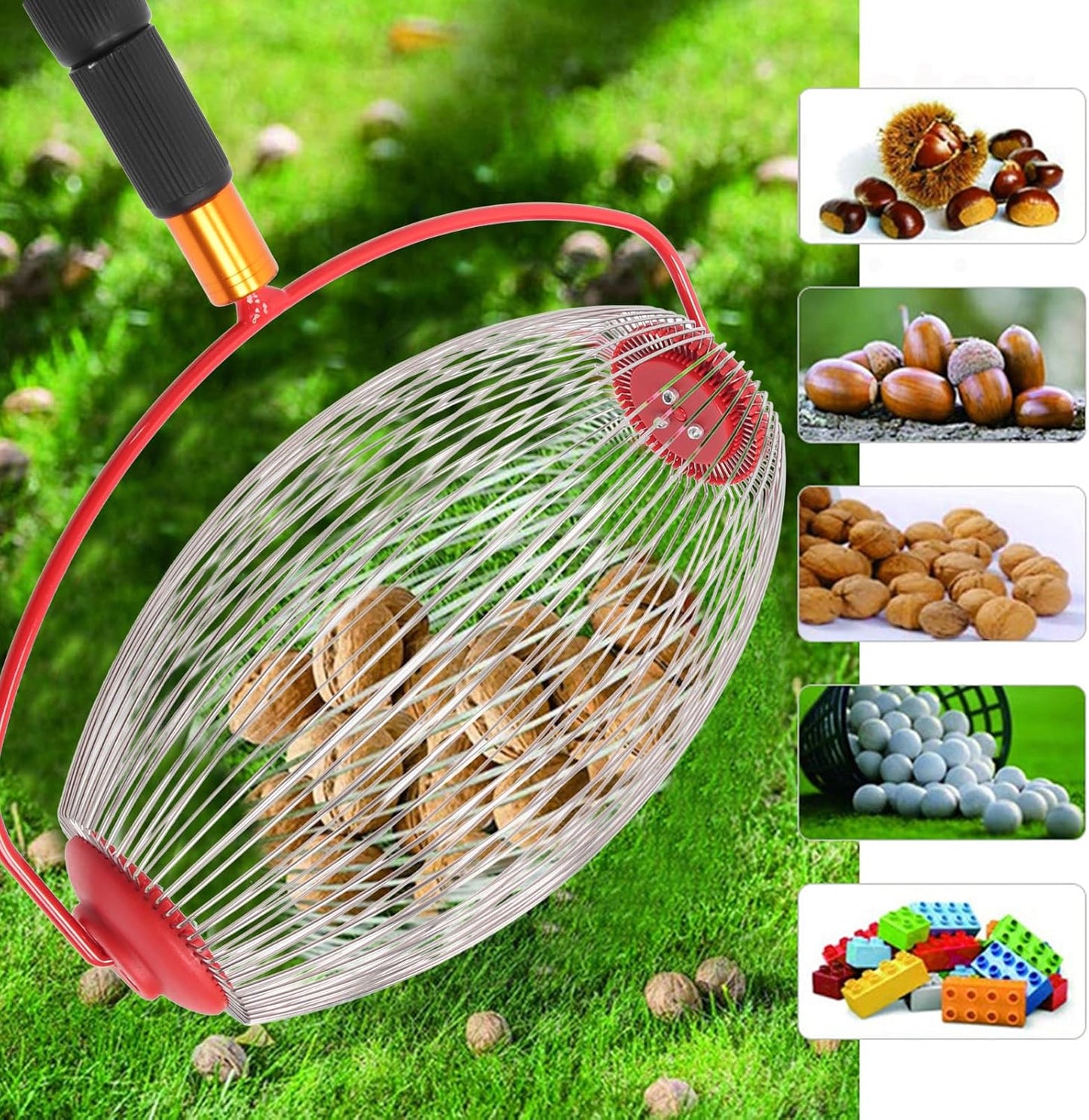 Large Nut Harvester,Outdoor Adjustable Lightweight Hand Tools