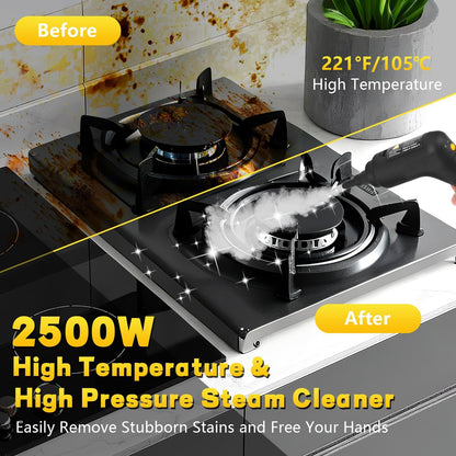 Handheld 2500W Steam Cleaner High Temperature Pressurized