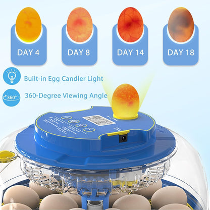 18 Eggs Incubator Hatcher Automatic Double Layer Hatching Machine
