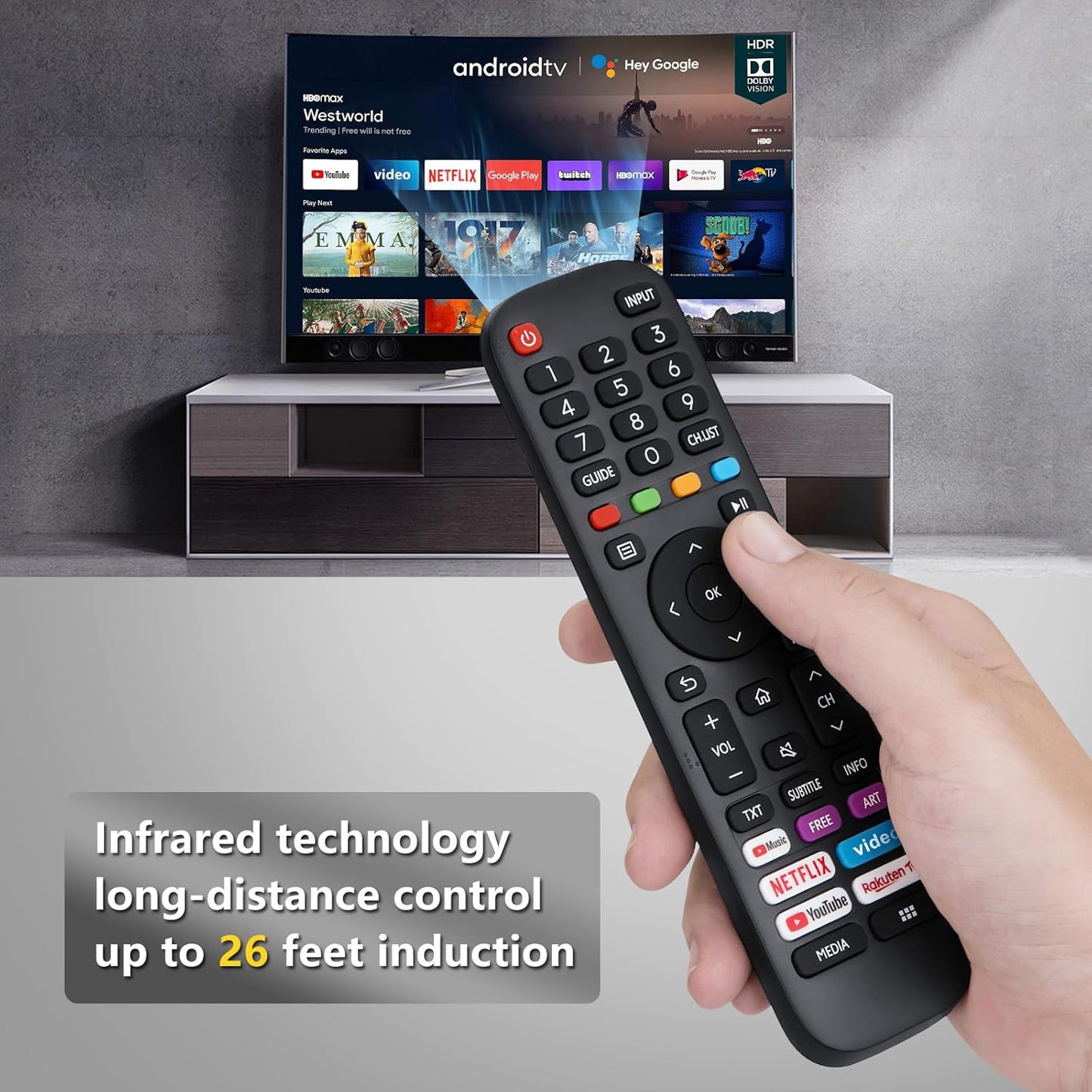EN-2G30H TV Remote Control For Hisense EN Series TV