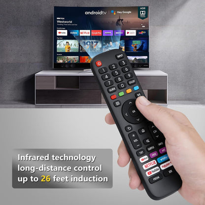 EN-2G30H TV Remote Control For Hisense EN Series TV