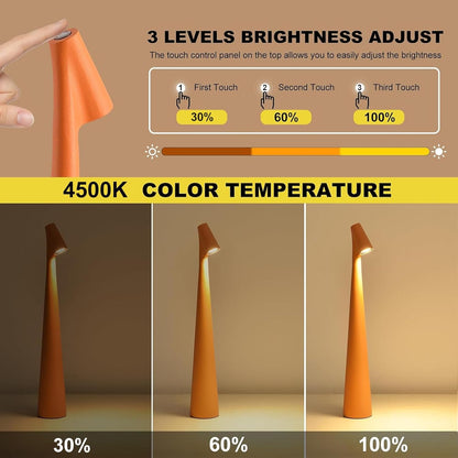 LED Desk Lamp  Cordless Rechargeable