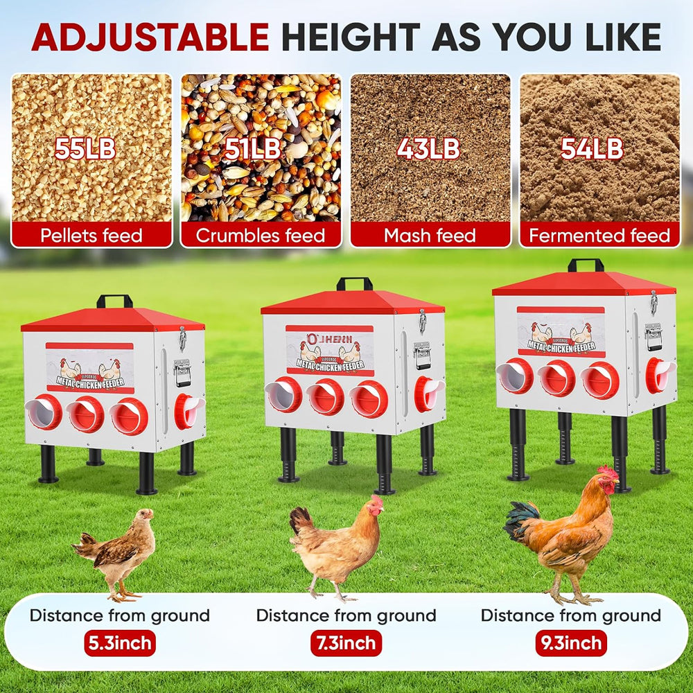 Automatic Chicken Feeder