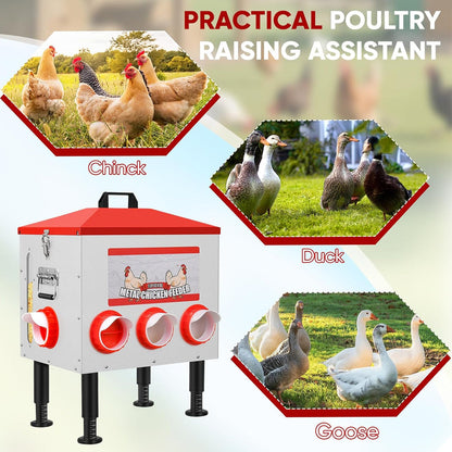 Automatic Chicken Feeder