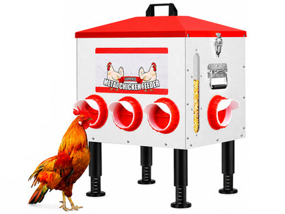 Automatic Chicken Feeder