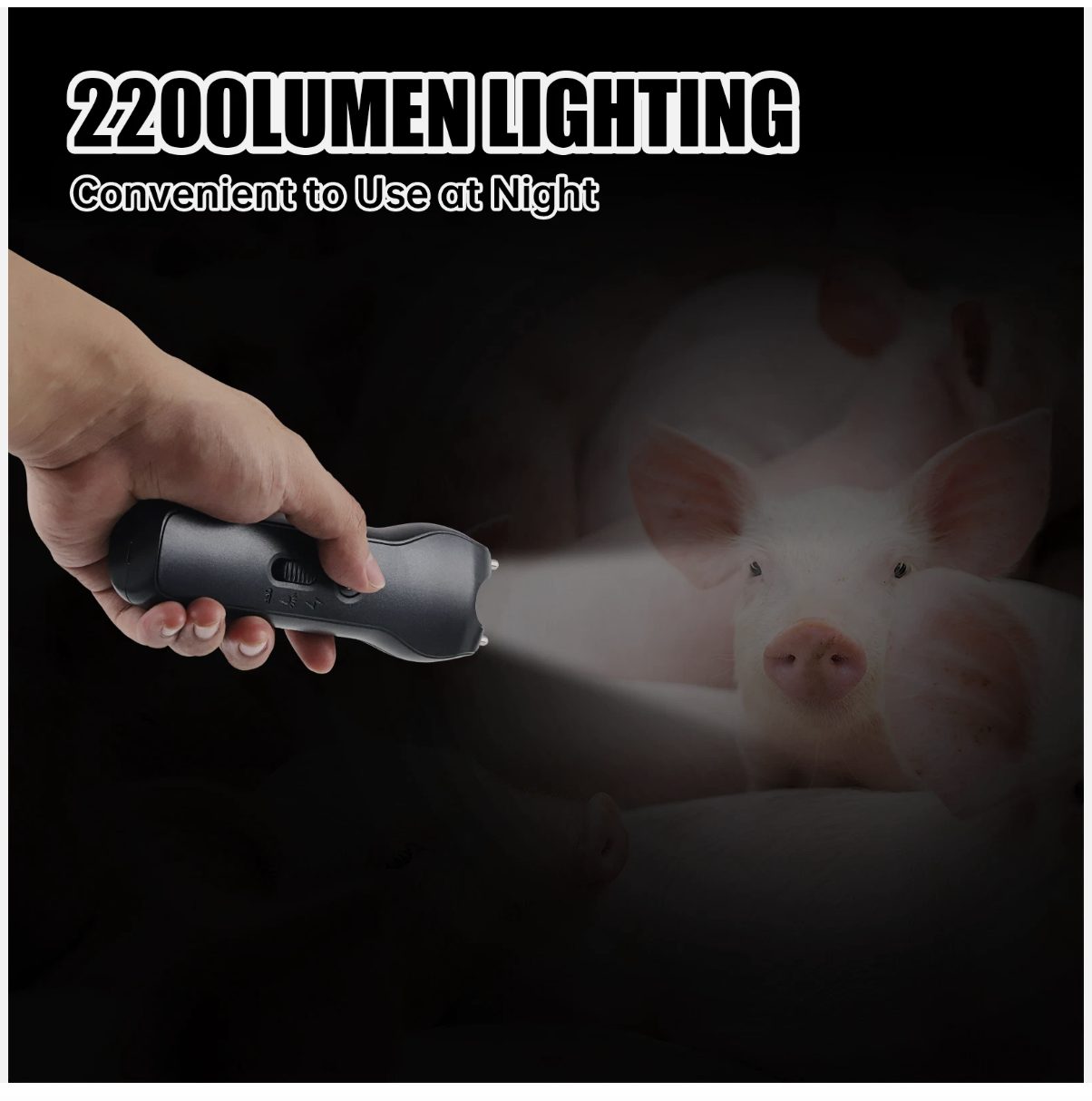 Handheld Cattle Prodder