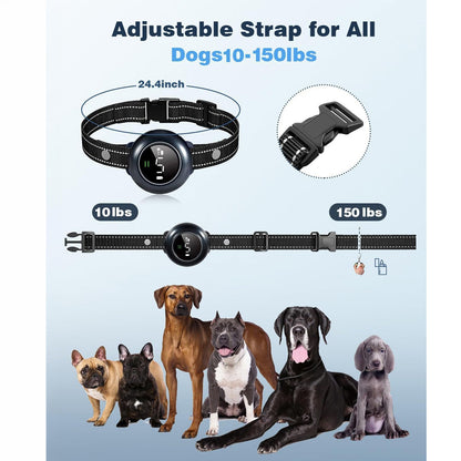 Anti Bark Dog Collar