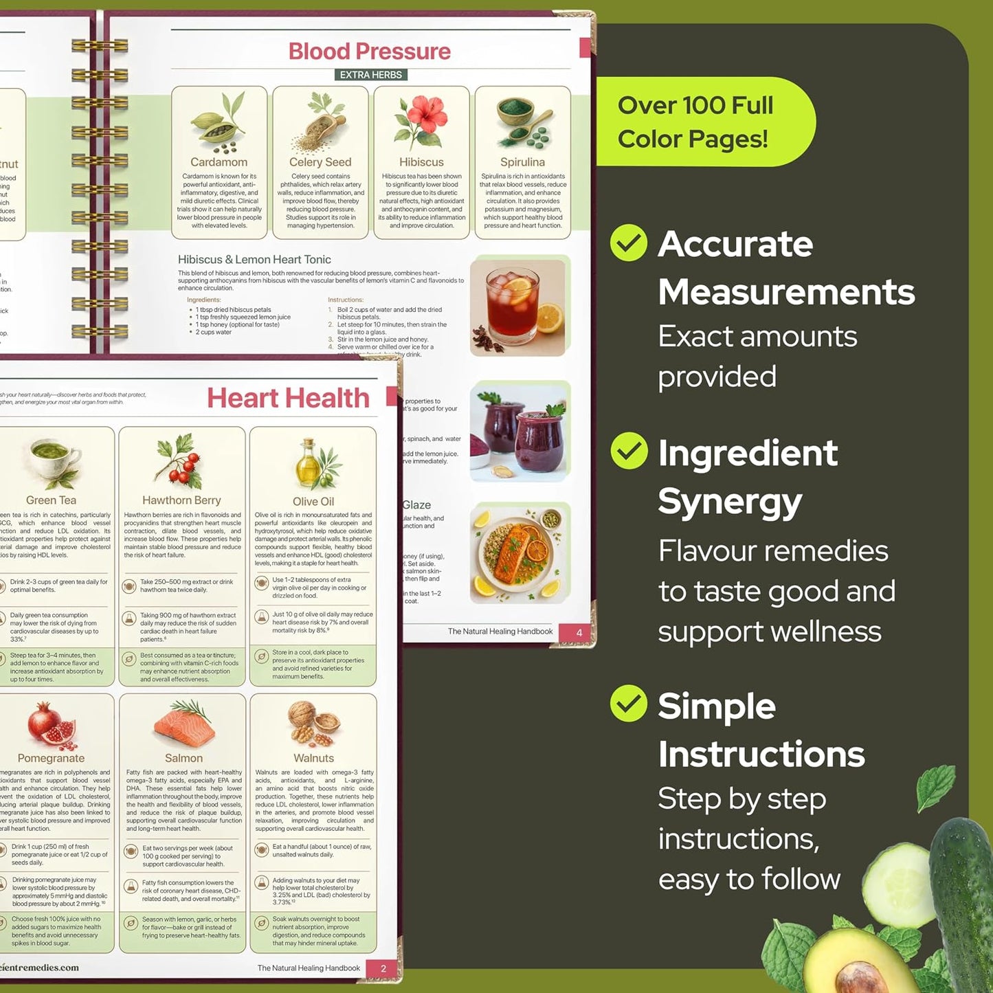 The Natural Healing Handbook