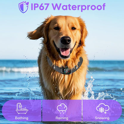Anti Bark Dog Collar