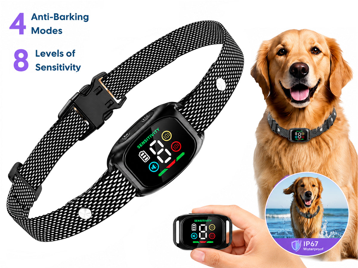 Anti Bark Dog Collar
