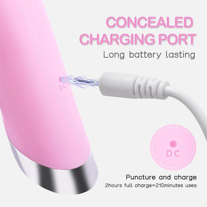 Electric Facial Cleansing Brush Waterproof