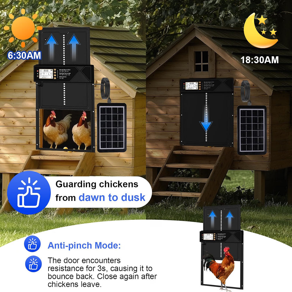 Automatic chicken coop door