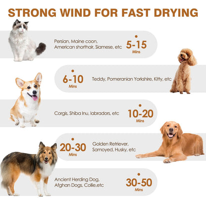 Pet Hair Dryer Blower