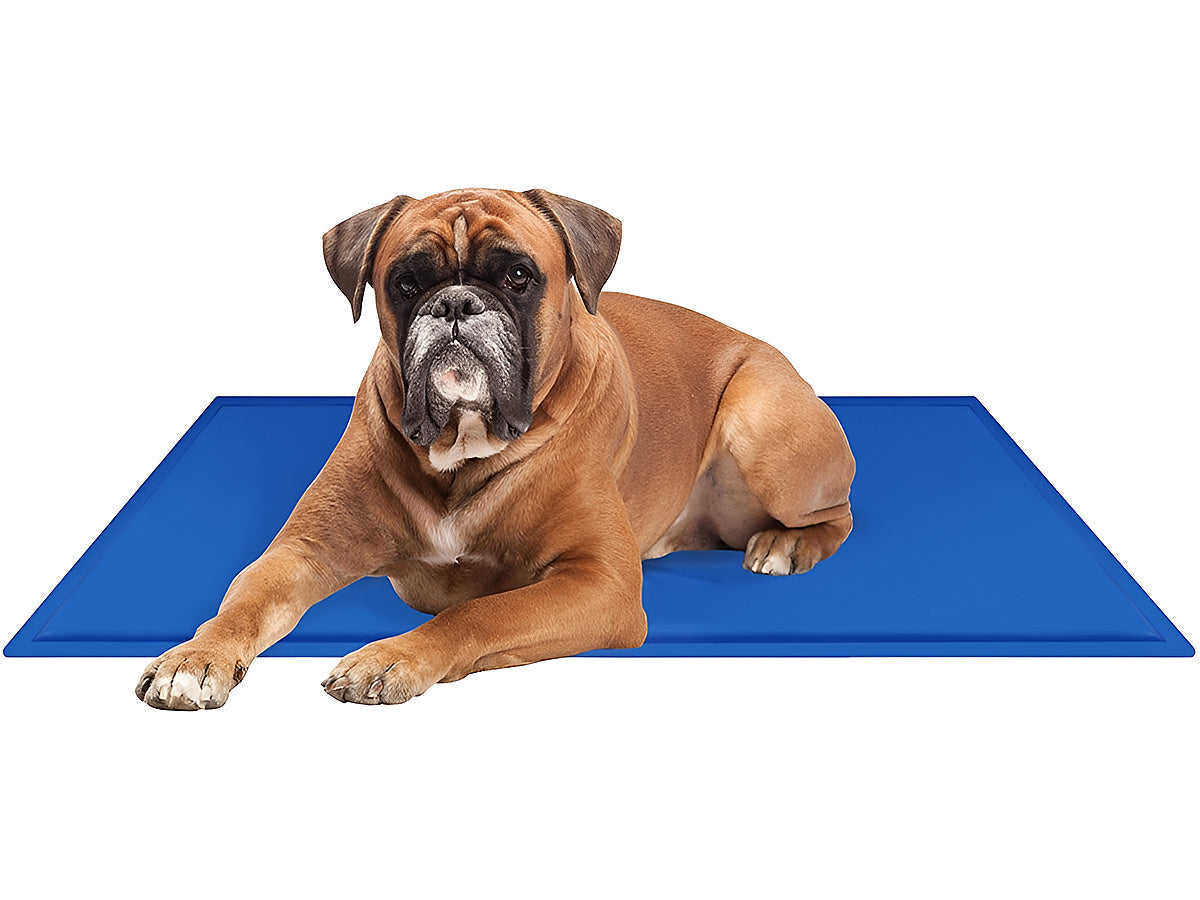 Pets Gel Cooling Mat Pet Dog Cooling Pad Large