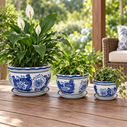 Set of 3 Blue & White Phoenix Round Ceramic Planters with Saucers