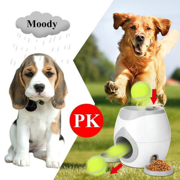 Fetch-N-Treat Dog Toy Tennis Ball Machine Fetch and Treat Toy - The Shopsite