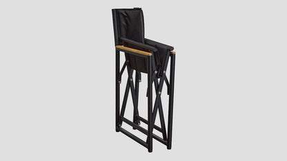 REMUERA DIRECTORS CHAIR
