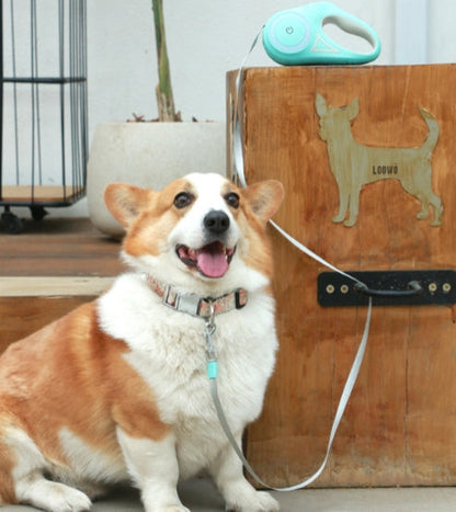 Retractable Dog Leash with LED Flashlight 360°Tangle Free Leash  with Collar