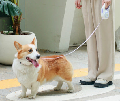 Retractable Dog Leash with LED Flashlight 360°Tangle Free Leash  with Collar
