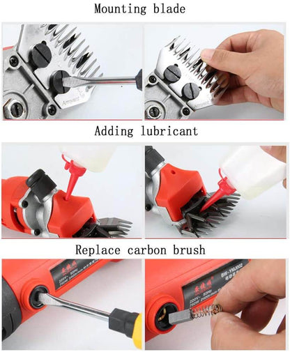 quiet sheep clippers