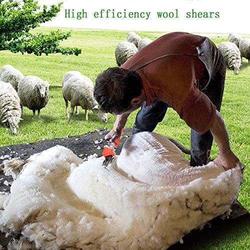 sheep clippers with toolbox