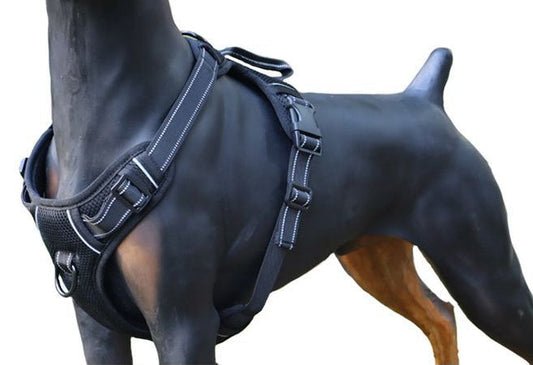 M-BLACK Dog Harness Set Pet Adjustable Chest Strap Walking Collar Vest