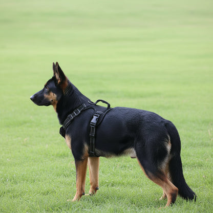 Dog Harness Set Pet Adjustable Chest Strap Walking Collar Vest