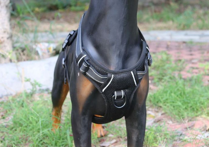 M-BLACK Dog Harness Set Pet Adjustable Chest Strap Walking Collar Vest