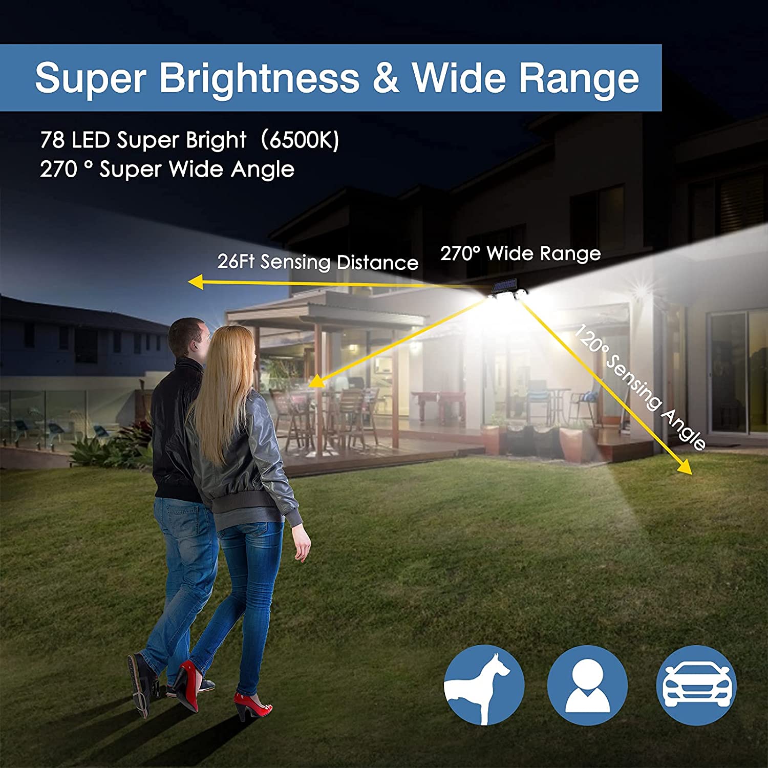 LED flood light